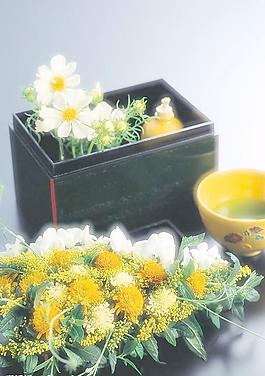 菊花特写图片