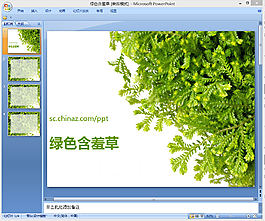 綠色含羞草ppt模板下載