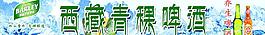 青稞圖片