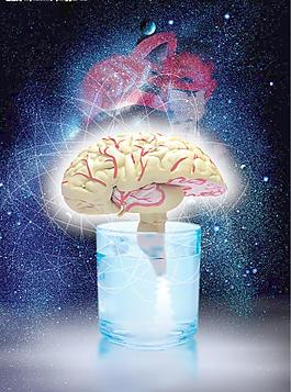 人体营养测验图片