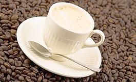 茶杯圖片
