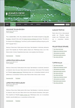 绿叶露水主题BLOG网页模板