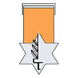 勇敢獎章