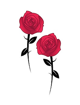 浪漫的玫瑰花