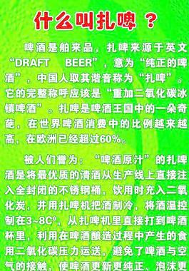 青島扎啤圖片