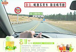青島扎啤圖片