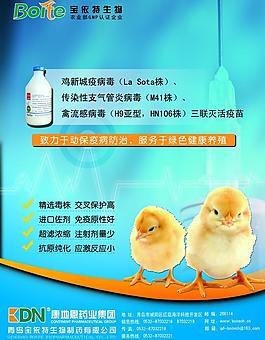 藥品單頁設計圖片