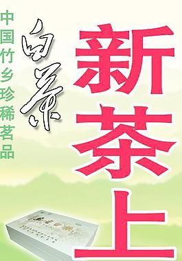 新茶上市圖片