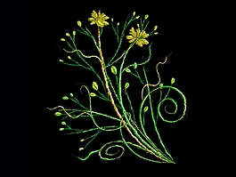 復(fù)古文化藝術(shù)類花紋設(shè)計JPG圖