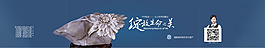 绽放生命之美