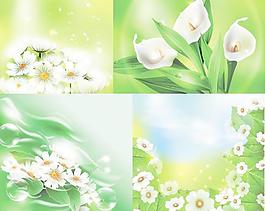 精美写实花卉花朵矢量素材