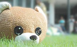 草地圖片