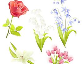 百合花郁金香鮮花矢量素材