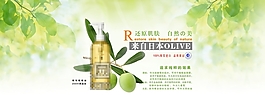 橄欖精油海報(bào)