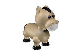 動(dòng)物模型圖片