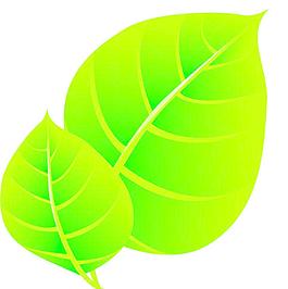 樹葉圖片
