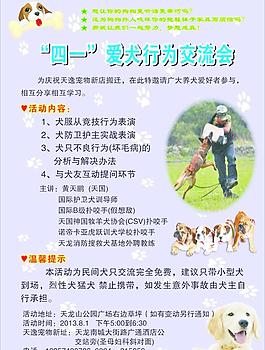 愛犬行為交流會圖片