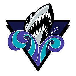 里穆斯基海洋