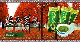 茶葉全屏海報