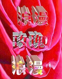 浪漫 玫瑰图片