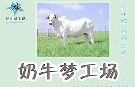 牛奶海報圖片