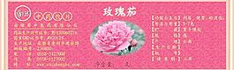 玫瑰茄圖片