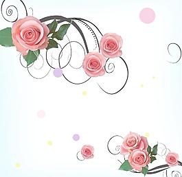 玫瑰花圖片