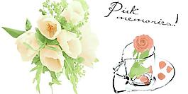 玫瑰（通道分層）圖片