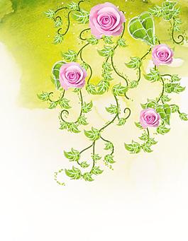 玫瑰花圖片
