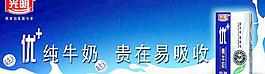 光明牛奶圖片