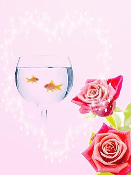 玫瑰花圖片