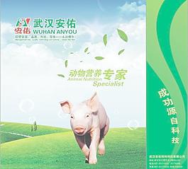 手提袋圖片