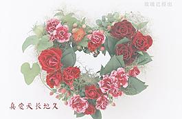 玫瑰花圖片