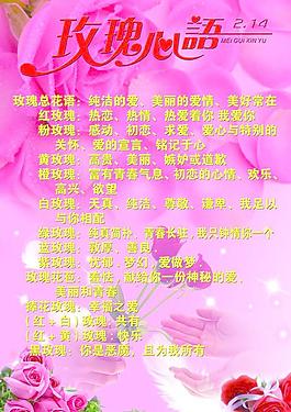 玫瑰心語圖片