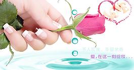 玫瑰花圖片
