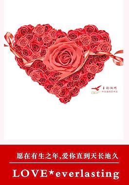 玫瑰花圖片