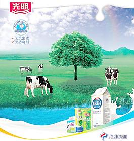 光明牛奶廣告圖片