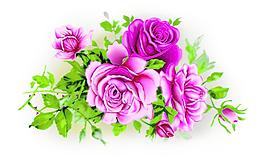 玫瑰花圖片