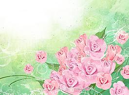 玫瑰花插畫(huà)圖片