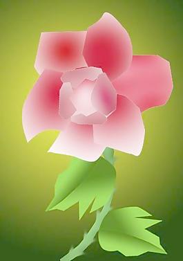 玫瑰花圖片
