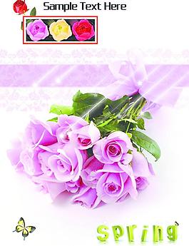 玫瑰花圖片