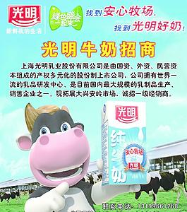 光明牛奶招商海報圖片
