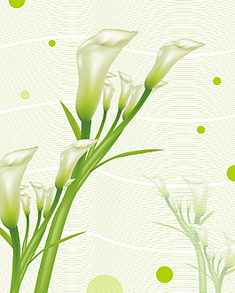 動(dòng)感花紋