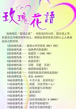 玫瑰花語圖片