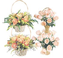 玫瑰花圖片