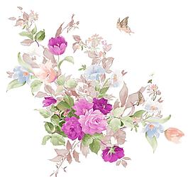 玫瑰花圖片