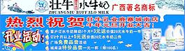 壯牛水牛奶圖片