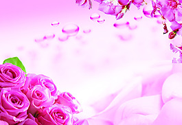 玫瑰花