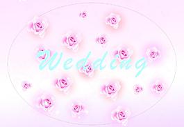 玫瑰花圖片