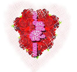 玫瑰花圖片